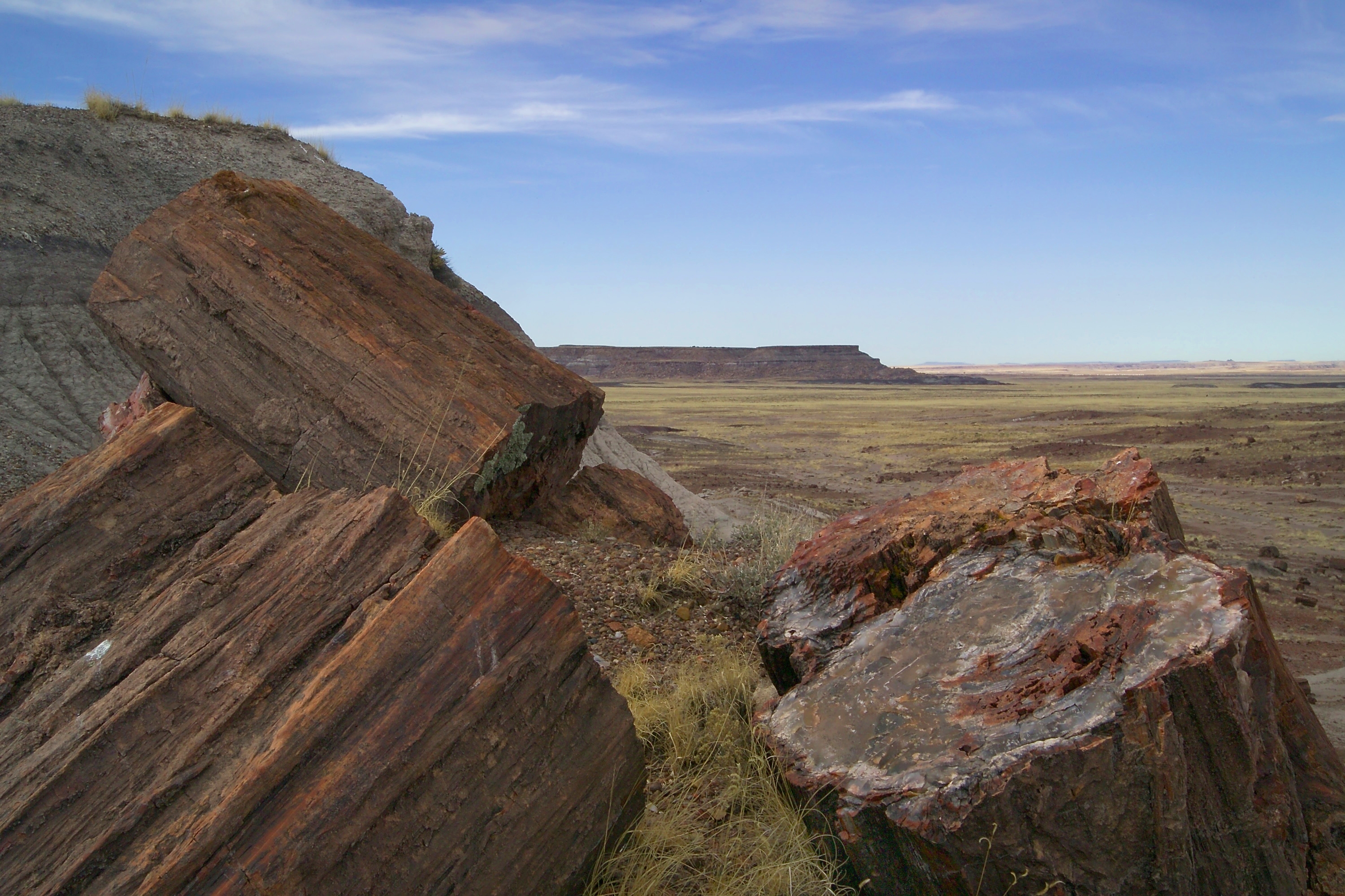 Large reddish-brown petrified log sections lie on a slope overlooking open grassland and a distant mesa beneath a blue sky.
