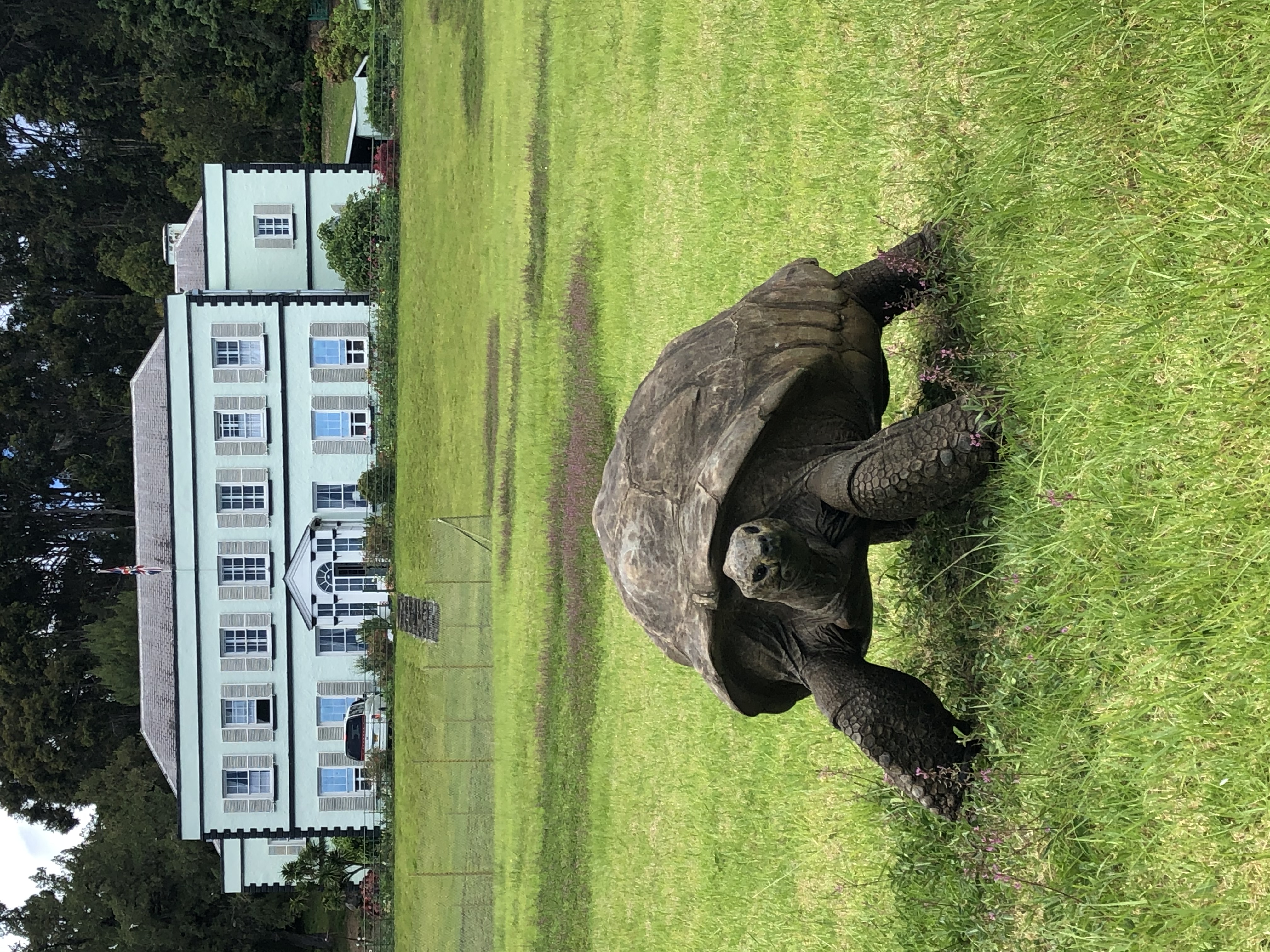 Jonathan standing on a grassy lawn with the white, two-story Plantation House behind him on St Helena.