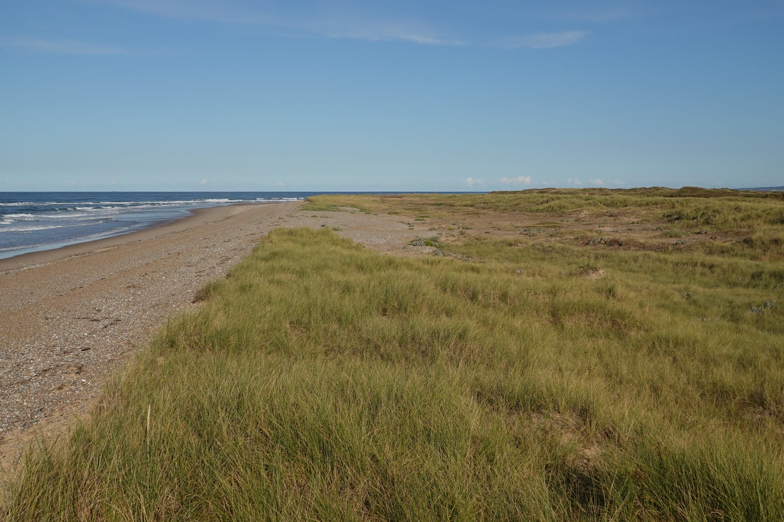 Blakeney Point beach and surrounding habitat photographed in September 2024.