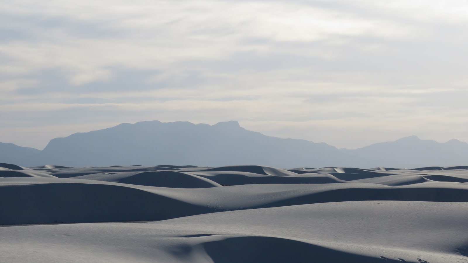 Rolling dunes in the late afternoon in front of the San Andres mountains.