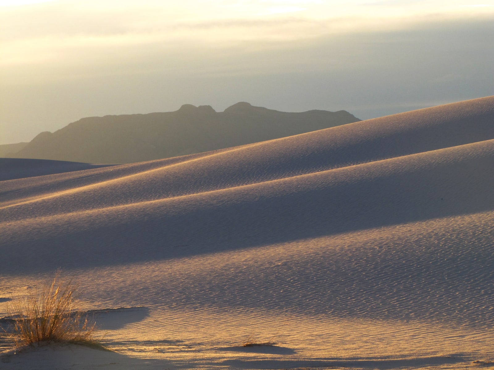 The light of the sunrise catches the high points of the undulating dunes and illuminates them in a deep yellow color. The mountains stand tall in the background.